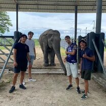 Wildlife Friends Foundation Thailand